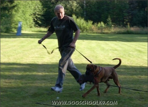 Summer training camp in Estonia 2007